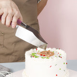Cake Cutter & Server